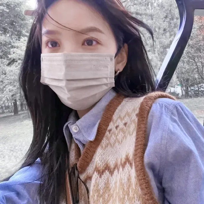 台北夜蒲团团转