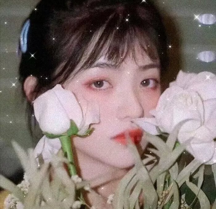 俄罗斯芭蕾之星
